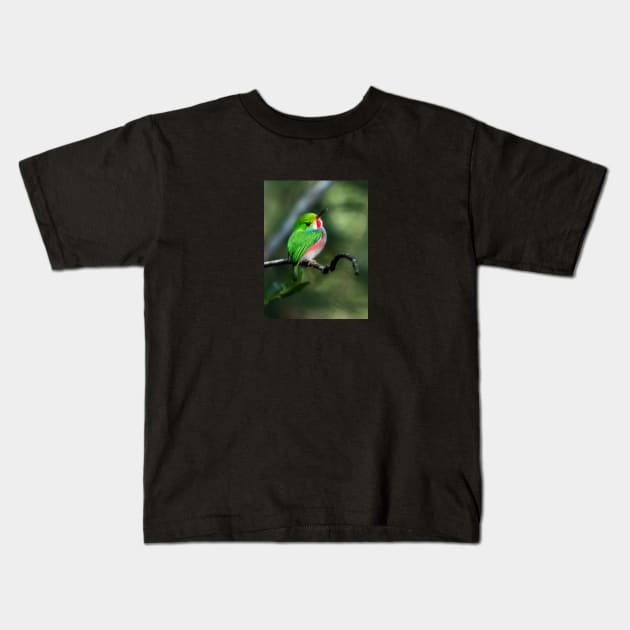 Cuban Tody Bird Kids T-Shirt by opticpixil